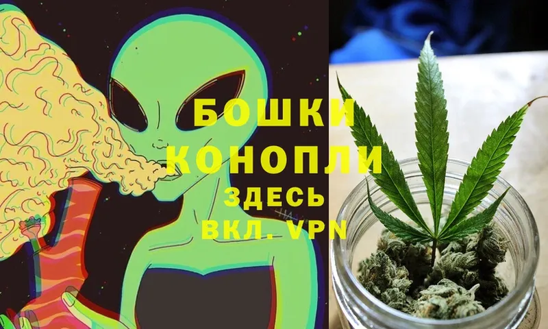 Бошки марихуана LSD WEED  где продают наркотики  МЕГА ТОР  Кашин 